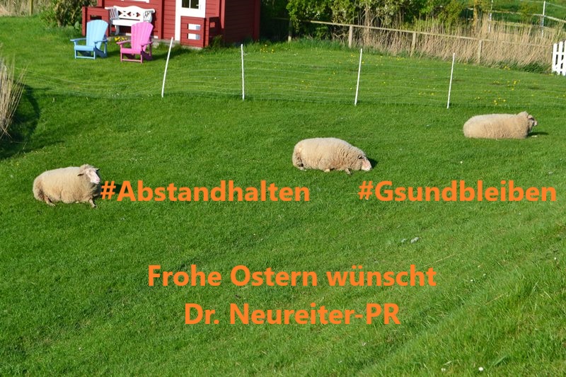 Osterkarte mit Schafen